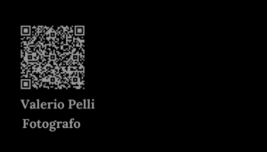 Aggiungi un titolo (19)